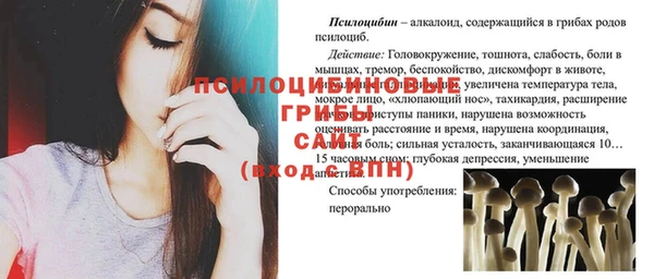 бошки Алексеевка